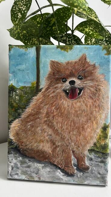 Ręcznie malowany portret – Szpic pomerański (Pomeranian) 18x