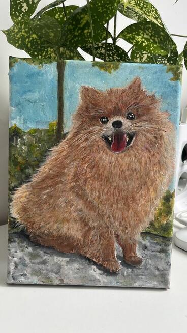 Ręcznie malowany portret – Szpic pomerański (Pomeranian) 18x