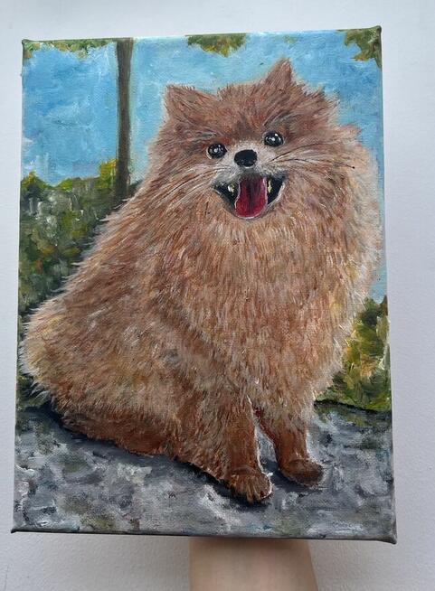 Ręcznie malowany portret – Szpic pomerański (Pomeranian) 18x