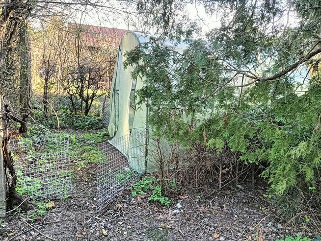 Działka ROD, Białystok - unikalna, prawie jak leśniczówka