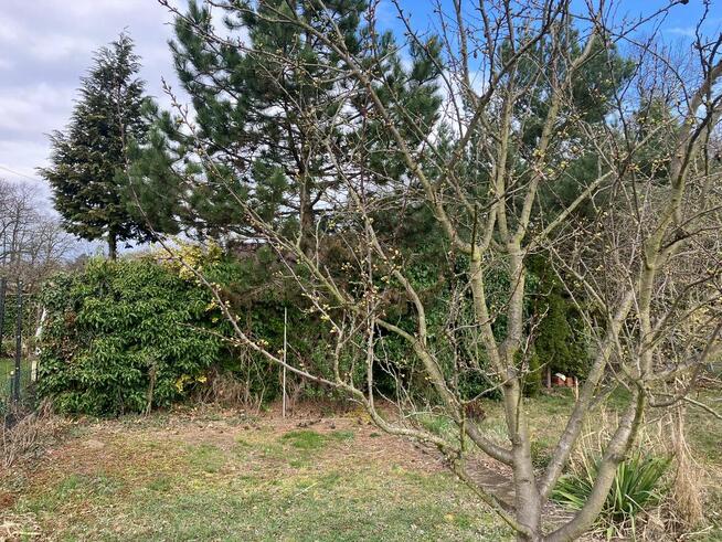 Działka rekreacyjna 330m2 Wrocław