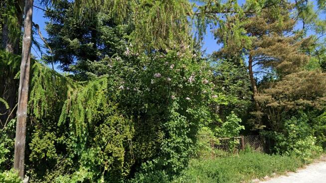 DUŻA DZIAŁKA 1361 m² Z DOMEM DO ROZBÓRKI – JĘDRZEJÓW, UL. SŁ