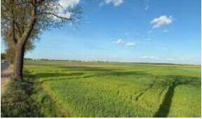 Syndyk sprzeda nieruchomość gruntową rolną (działka nr 941)