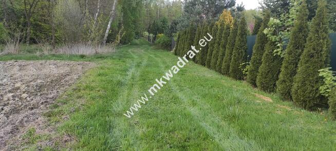 3416m2 Pasikonie k/Kampinosu z warunkami zabudowy!