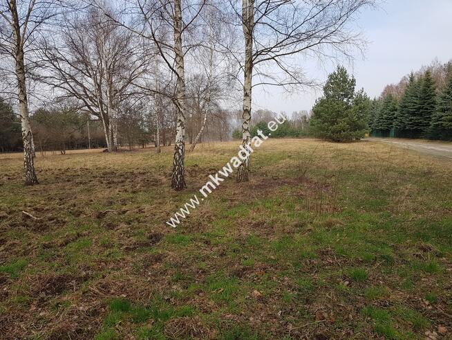 ⭐⭐⭐⭐ Makówka obok Czrnego Lasu na dom 2 lokal⭐⭐⭐⭐