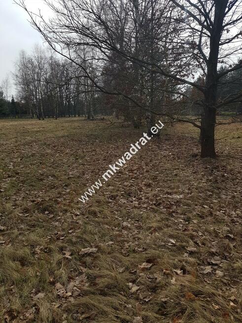 ⭐⭐⭐⭐ Makówka obok Czrnego Lasu na dom 2 lokal⭐⭐⭐⭐