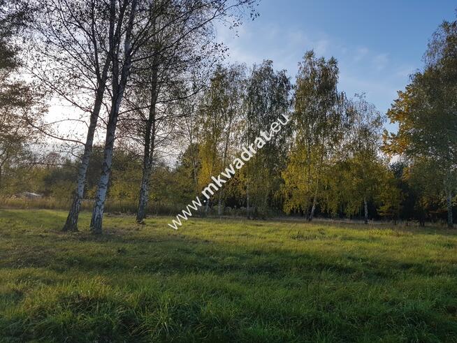 ⭐⭐⭐⭐ Makówka obok Czrnego Lasu na dom 2 lokal⭐⭐⭐⭐