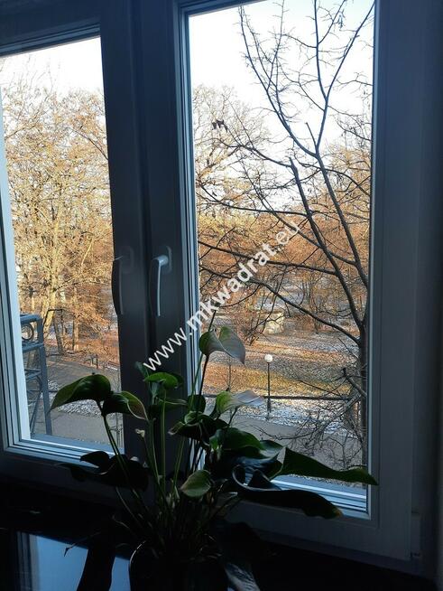 Apartament dla wielbiciela niebanalnych miejsc!