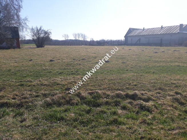 Działka Kuranów, ul. www.mkwadrat.eu