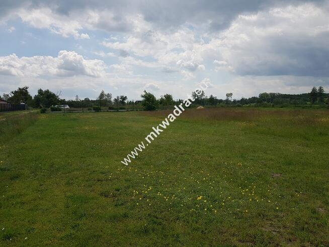 ⭐⭐⭐⭐⭐ Ustawna 1500m2 w cichej okolicy 45mx33m⭐⭐⭐⭐⭐