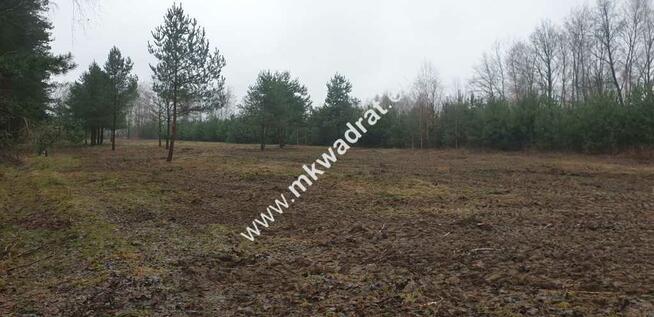 MPZP | Wszystkie media | Działki po 850m2 | Super