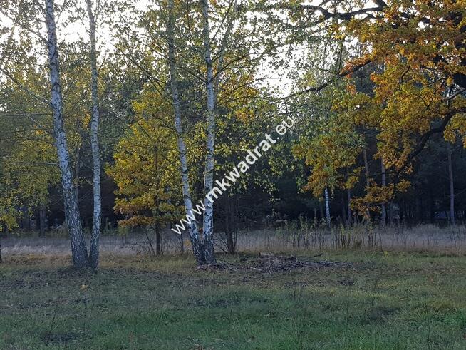 Cicha !! Makówka 1500 m2 + plan zagospodarowania