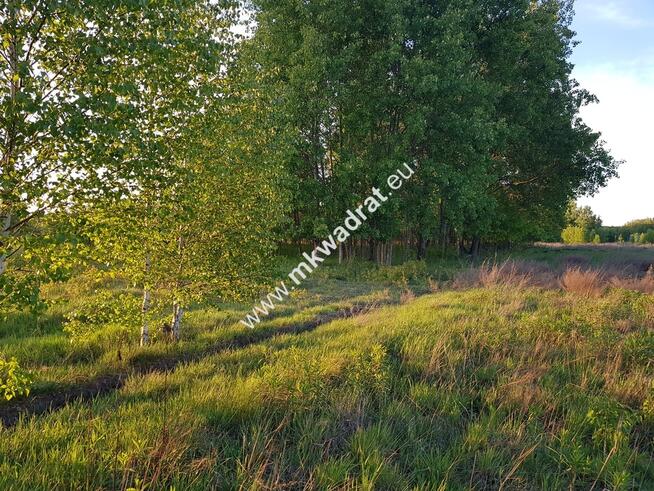 ⭐⭐⭐⭐ Działka 800 m od szkoły MPZP budow-usług ⭐⭐⭐⭐
