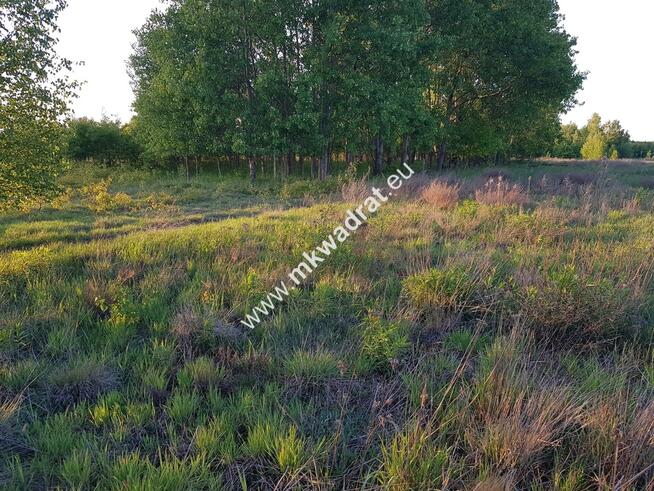 ⭐⭐⭐⭐ Działka 800 m od szkoły MPZP budow-usług ⭐⭐⭐⭐