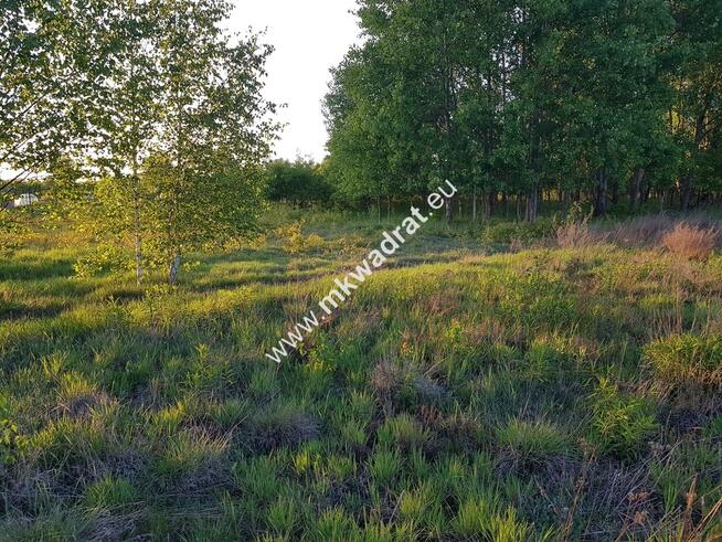 ⭐⭐⭐⭐ Działka 800 m od szkoły MPZP budow-usług ⭐⭐⭐⭐