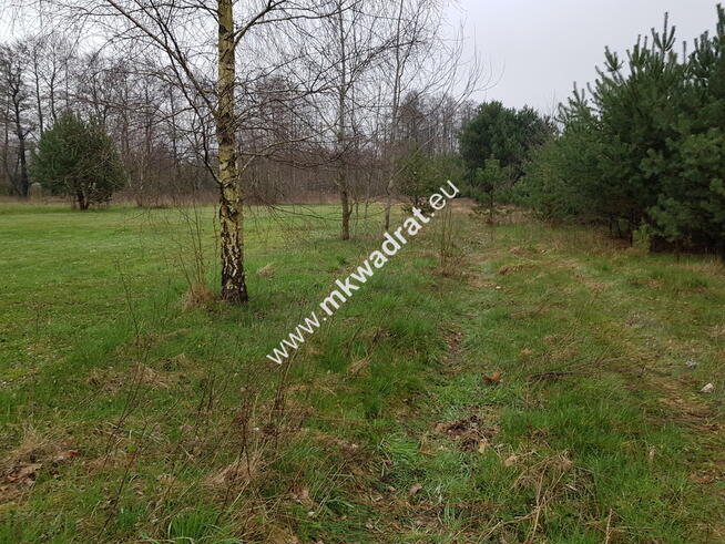 Piękna | mega cena | MPZP 30% | Sucha | zieleń LUX