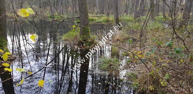 Malownicza działka siedliskowa 13.700m2