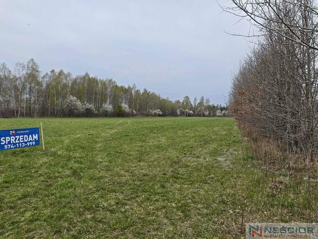 Działka budowlana, działki inwestycyjne Posiadały