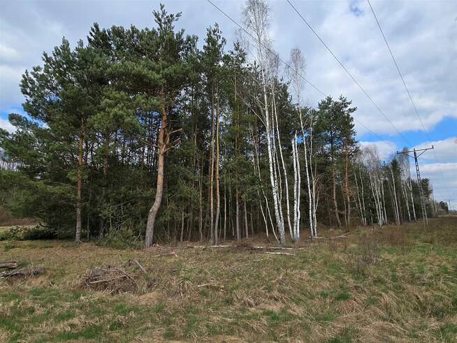 Działka budowlana 1821 m² przy lesie – os. Herby- Sieradz