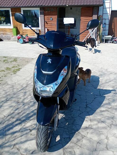 Sprzedam skuter