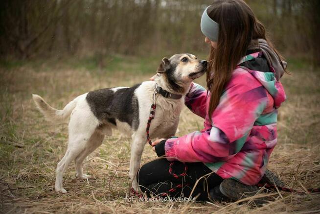 Tomuś szuka swojego miejsca na zawsze – może właśnie u Ciebie