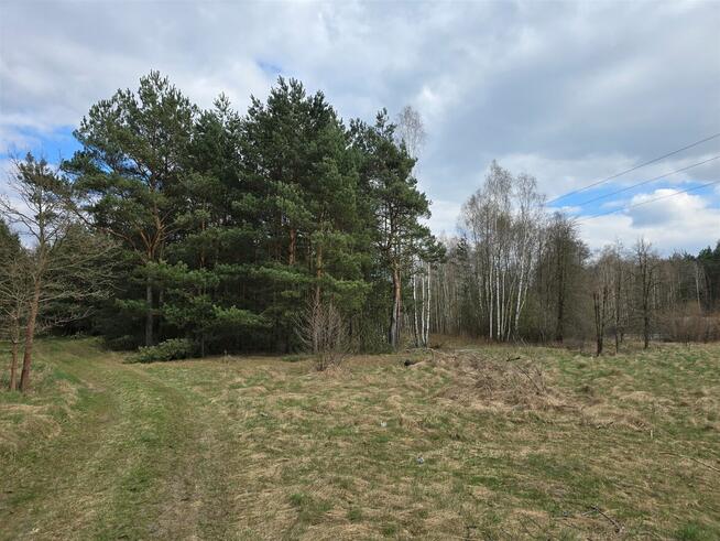 Działka budowlana 1821 m² przy lesie – os. Herby- Sieradz