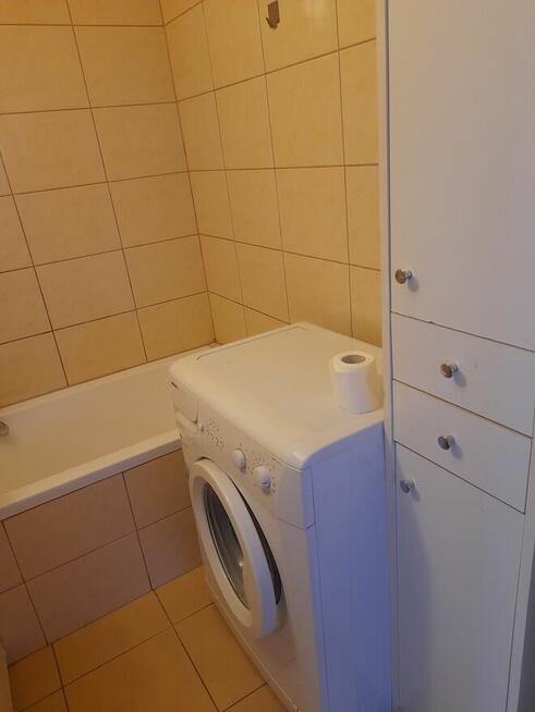 mieszkanie do wynajęcia