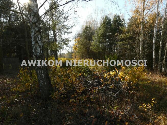 Działka rekreacyjna Budy Zaklasztorne gm. Puszcza Mariańska