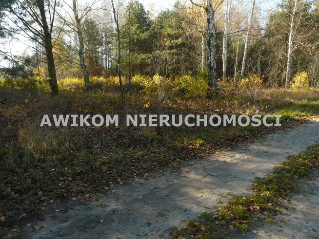 Działka rekreacyjna Budy Zaklasztorne gm. Puszcza Mariańska