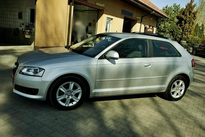 Audi A3 1,6TDI Klima, alu, Xenony, 2009r.