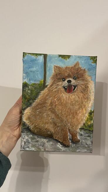Ręcznie malowany portret – Szpic pomerański (Pomeranian) 18x