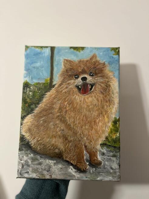 Ręcznie malowany portret – Szpic pomerański (Pomeranian) 18x