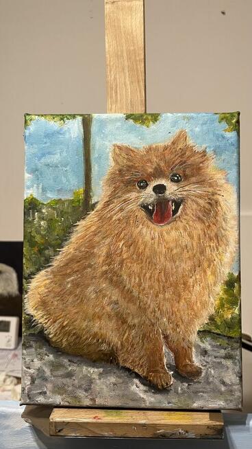 Ręcznie malowany portret – Szpic pomerański (Pomeranian) 18x