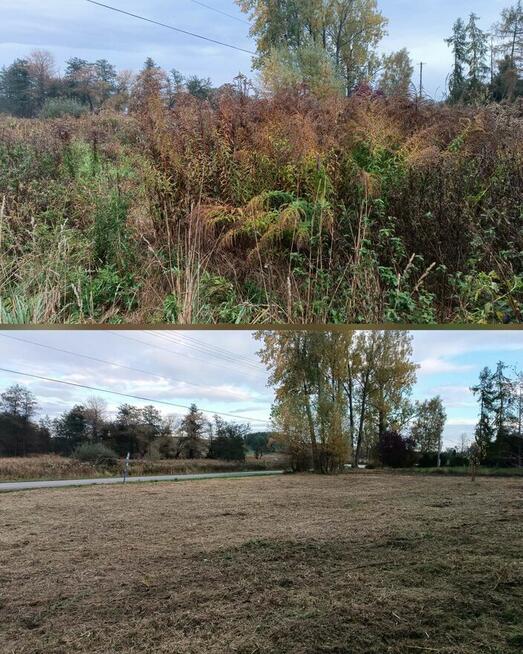 Koszenie trawy, nieużytków, kosiarka bijakowa, karczowanie.