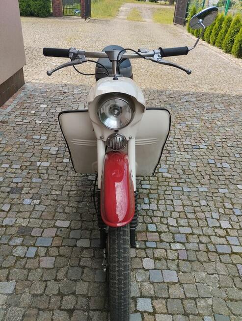 Skuter