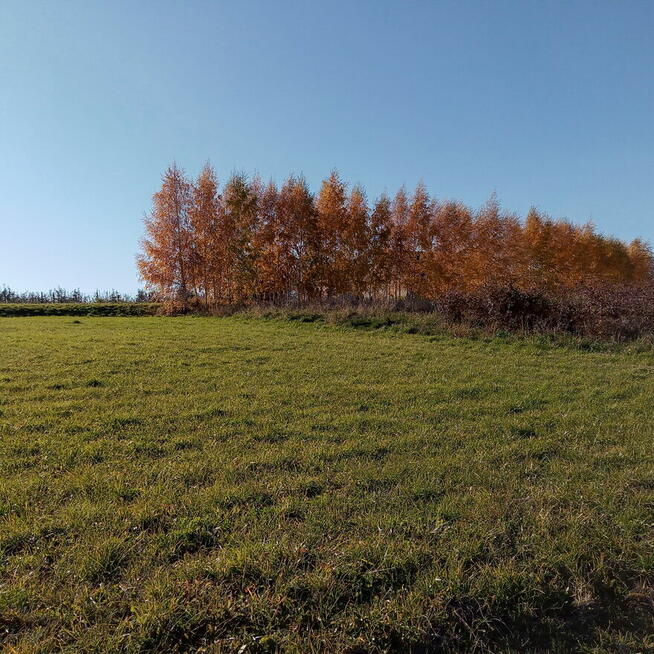 Działka rolna 94ar i leśna 75ar Żerosławice
