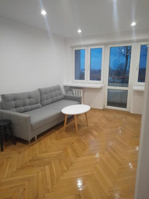Oferuje sprzątanie domów mieszkań