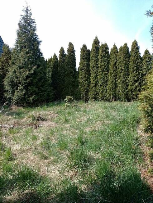 Sprzedam Dom do remontu z ogródkiem i dobudowanym garażem