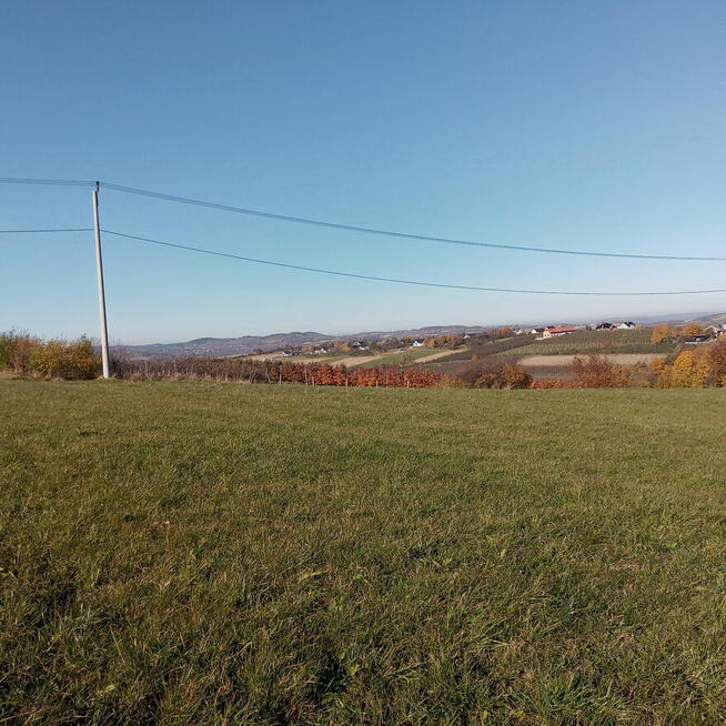 Działka rolna 94ar i leśna 75ar Żerosławice
