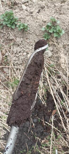 Geolog, wiercenia gruntu, badanie płytą dynamiczną