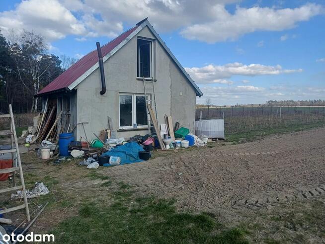 HIT! Działki przy lesie blisko rzeki – tylko 40 km od Warsza