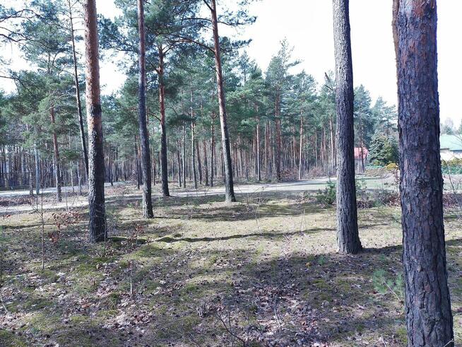 Działki Budowlane - leśne