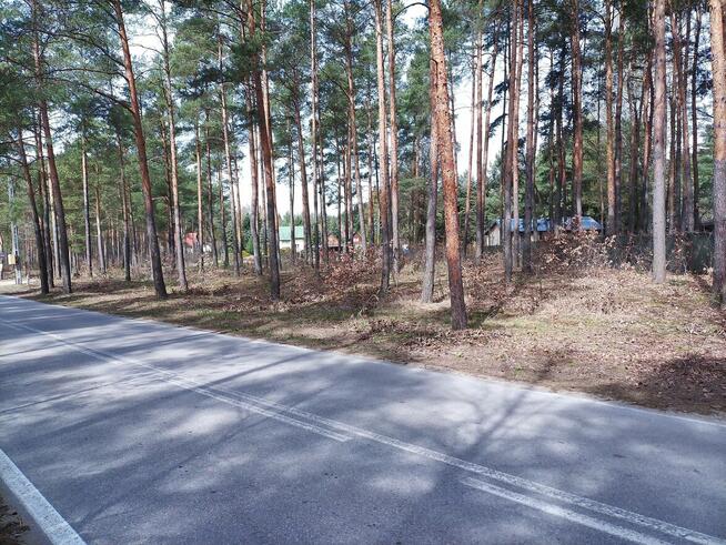 Działki Budowlane - leśne