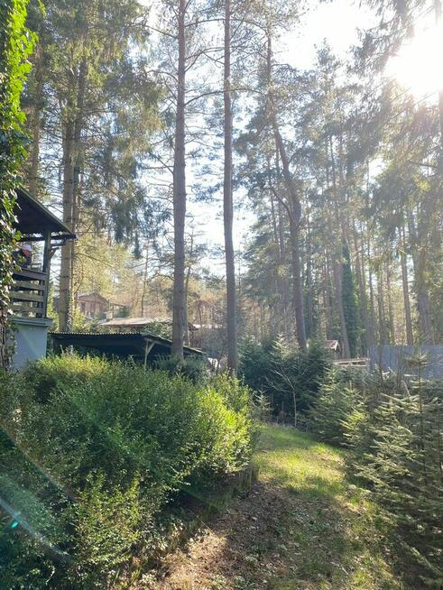 Domek letniskowy Zbychowo