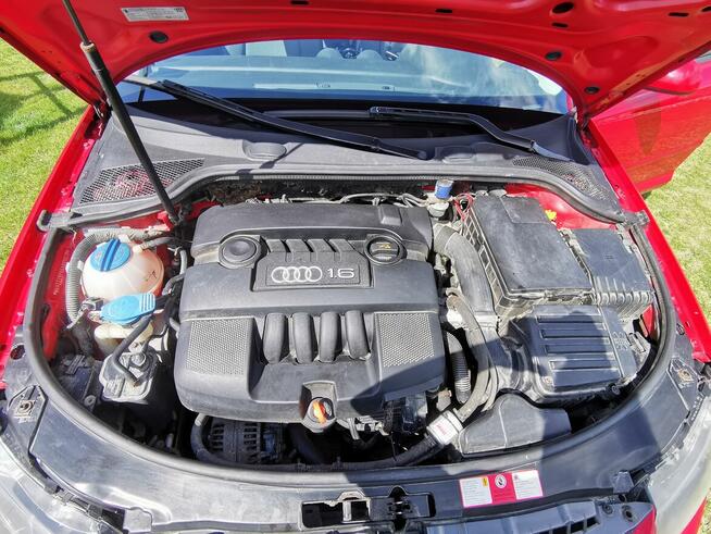 Audi a3 8p 1.6 MPI 102 KM LPG, Hak, 5 drzwi