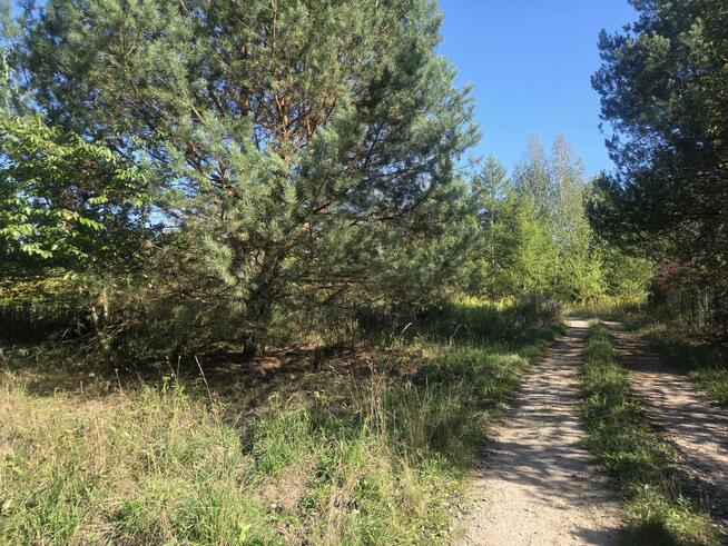 Działka budowlana Łoś gm. Prażmów