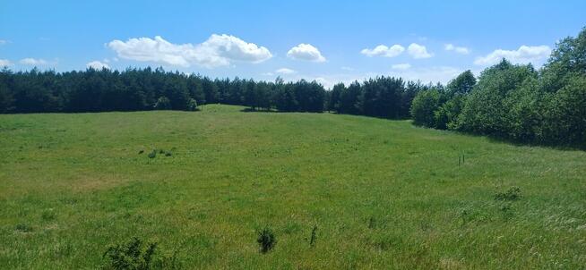 Działki rekreacyjno-budowlane nad jeziorem Buwełno
