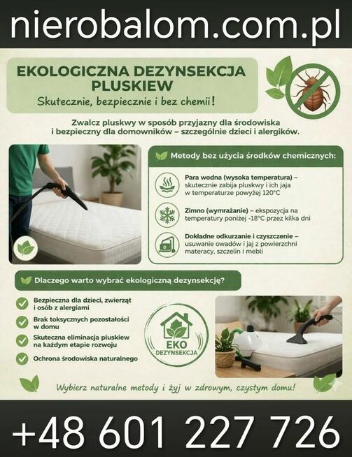 Dezynsekcja Warszawa - zamów online 24/7