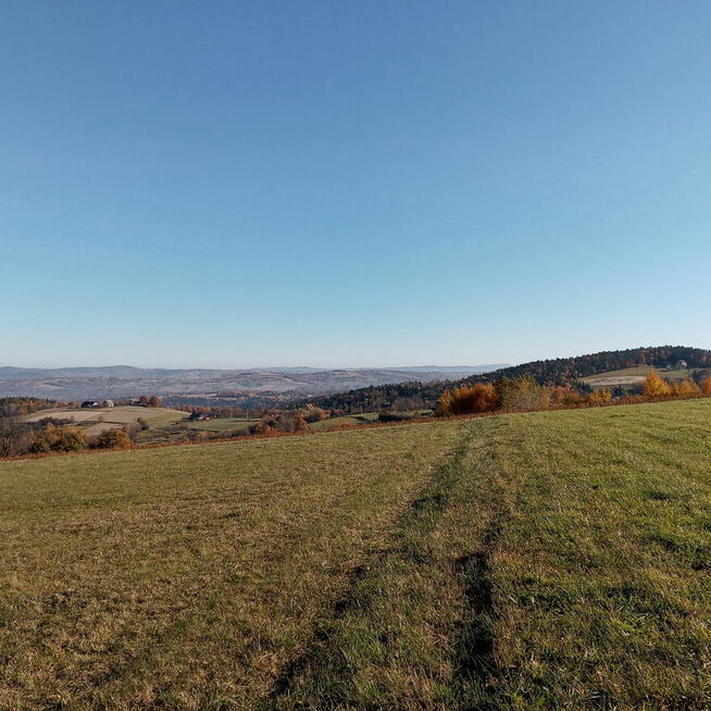 Działka rolna 94ar i leśna 75ar Żerosławice