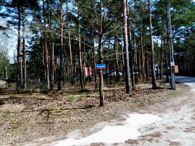 Działki Budowlane - leśne